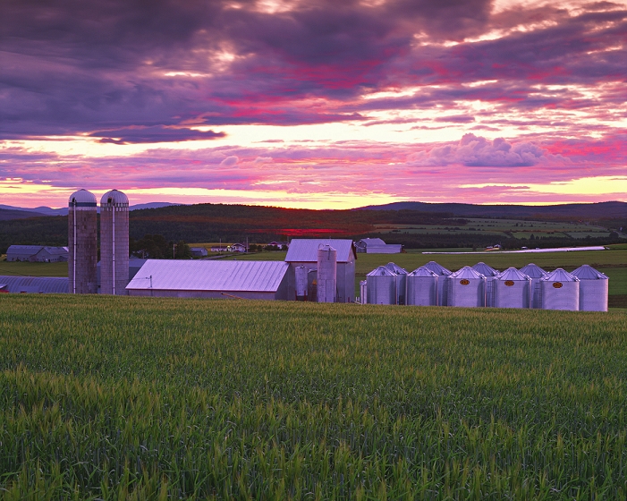Field And Farm, Gaspesie Region, Causapscal, Quebec