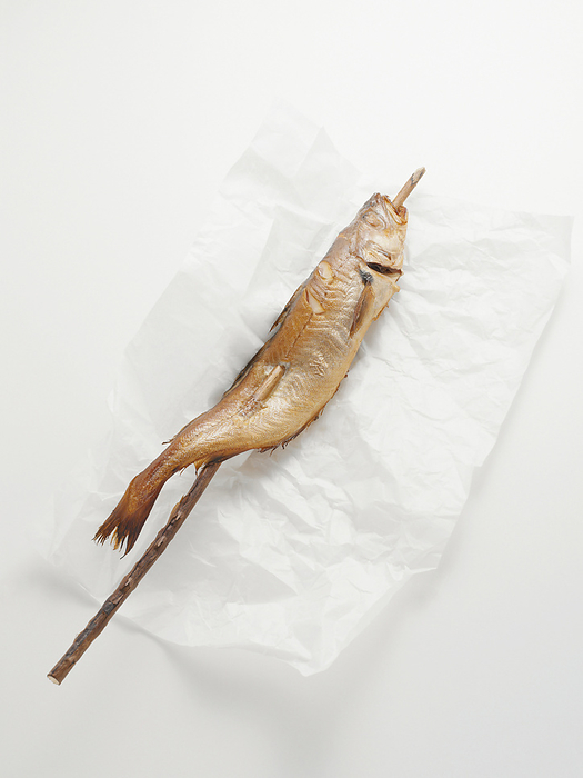 Fried mackerel pike fish on stick, on paper wrapper, studio shot, by Anke Huber & Uwe Starke / Design Pics