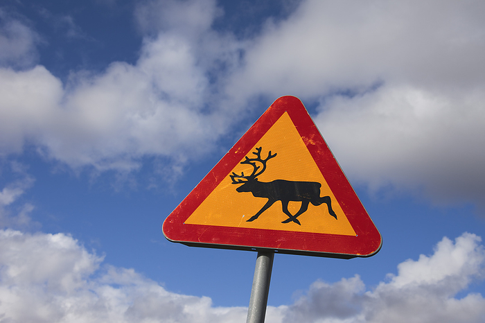 Warning Sign for Reindeer Crossing, Sweden, by Christina Krutz / Design Pics