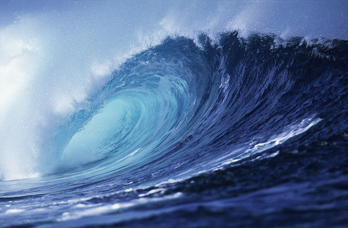 Wave, by Colin Bourke / Design Pics