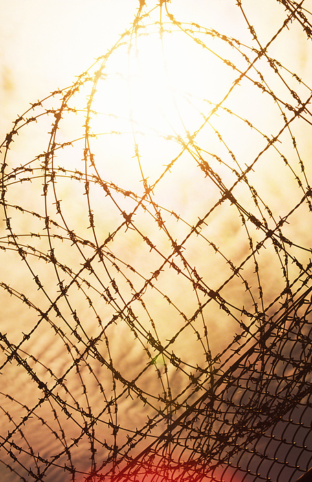 Barbed Wire Fence, Sunset, by Colin Bourke / Design Pics