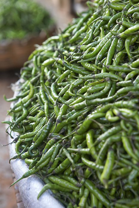 India Indian Green Chilis at Market in Bangalore, Karnataka, India, by Edward Pond   Design Pics