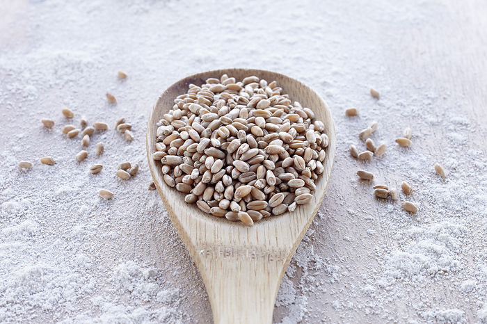 Spoonful of Cereal Grain, by photo division / Design Pics