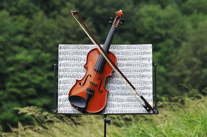 Violin on Music Stand, by Jean- Christophe Riou / Design Pics