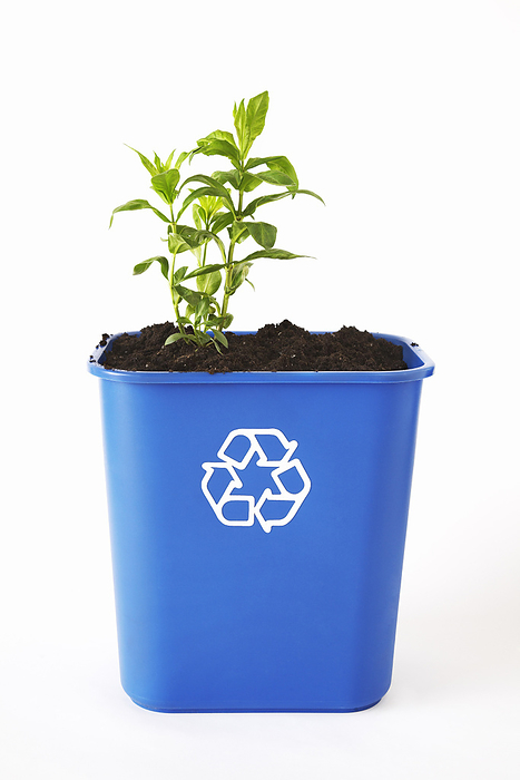 Plant and Soil in Recycling Bin, by Jodi Pudge / Design Pics