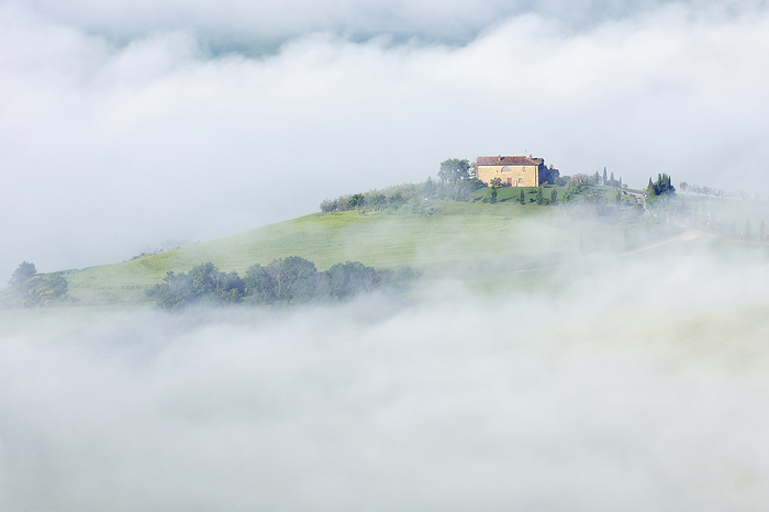 Typical Tuscany landscape with farm in morning with fog near Pienza. Pienza, Siena district, Tuscany, Toscana, Italy., by Martin Ruegner / Design Pics