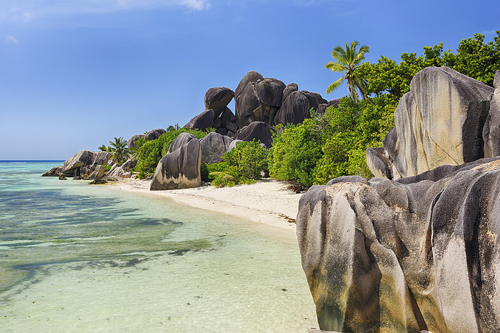 Rock Formations and Palm Trees, Anse Source d´Argent, La Digue, Seychelles, by Martin Ruegner / Design Pics