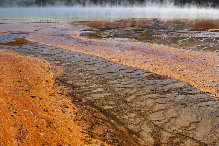Orange Bacteria Mat of Grand Prismatic Spring, Midway Geyser Basin, Yellowstone National Park, Teton County, Wyoming, USA, by Martin Ruegner / Design Pics