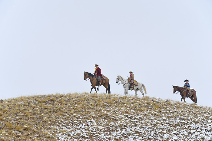Cowboy with Two Young Cowboys riding along Horizon with Snow, Rocky Mountains, Wyoming, USA, by Martin Ruegner / Design Pics