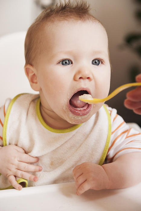 Parent Feeding Baby, by I. Jonsson / Design Pics