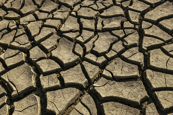 Dried and Cracked Earth, Dabhoi, Gujarat, India, by Matt Brasier / Design Pics