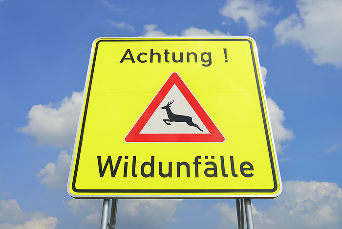 Deer Crossing Sign, Odenwald, Hesse, Germany, by Michael Breuer / Design Pics