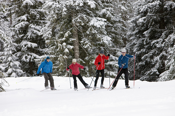 Couples Cross Country Skiing, Whistler, British Columbia, Canada, by Noel Hendrickson / Design Pics