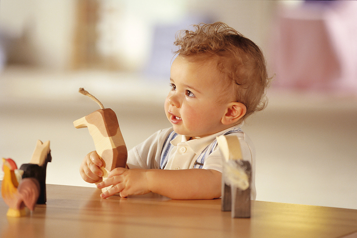 Toddler Playing with Wooden Toys, by Norbert Schäfer / Design Pics