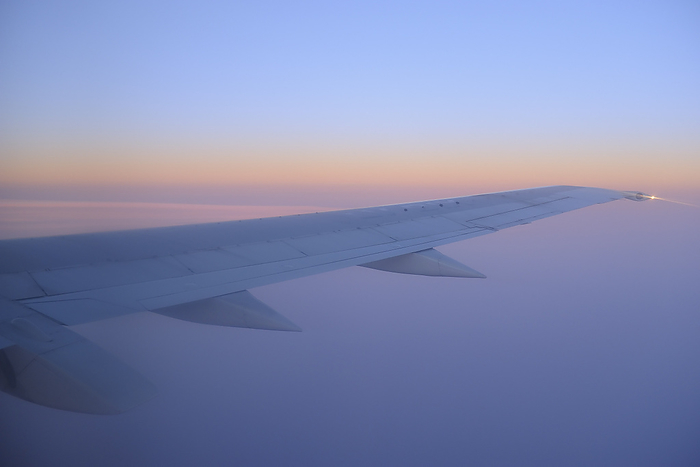 View of Aeroplane Wing at Sunrise Above Buenos Aires, Argentina, by Raimund Linke / Design Pics