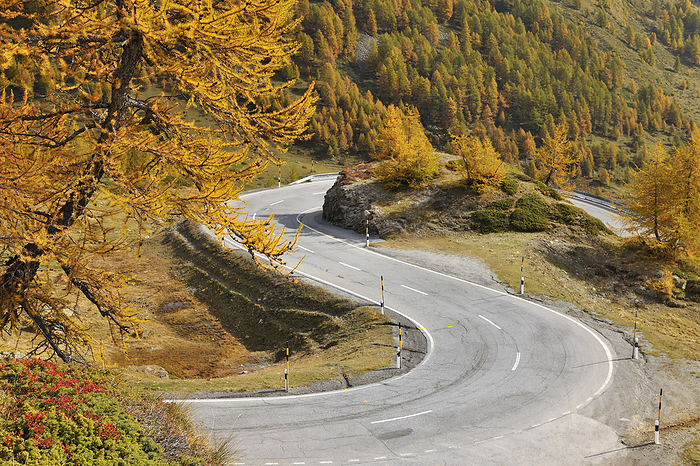 Road, Livigno, Province of Sondrio, Lombardy, Italy, by Raimund Linke / Design Pics