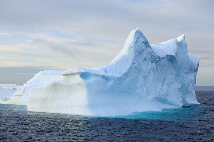 Iceberg in Scoresbysund, Greenland, by Raimund Linke / Design Pics