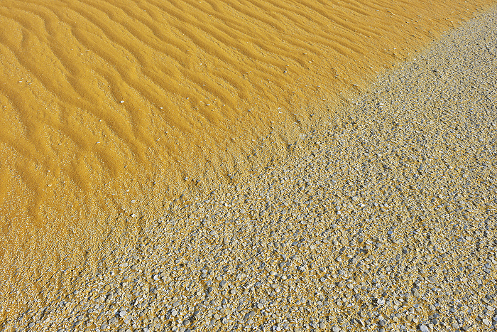 Rocks and Sand in Desert, Matruh Governorate, Libyan Desert, Sahara Desert, Egypt, Africa, by Raimund Linke / Design Pics