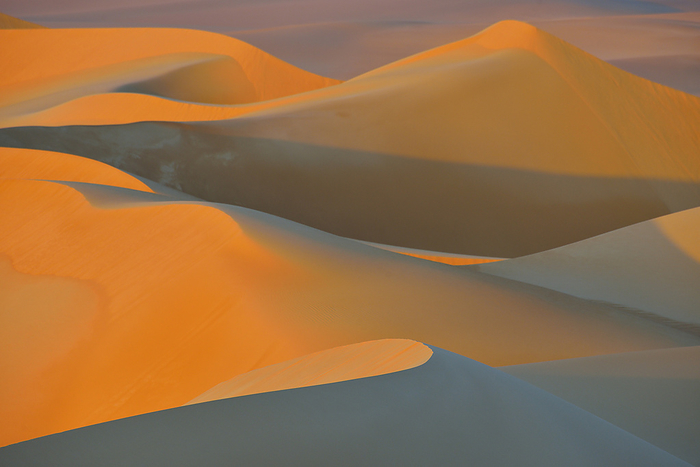 Scenic overview of Sand Dunes at Sunset, Matruh, Great Sand Sea, Libyan Desert, Sahara Desert, Egypt, North Africa, Africa, by Raimund Linke / Design Pics