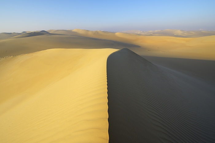 Scenic view of Sand Dunes, Matruh, Great Sand Sea, Libyan Desert, Sahara Desert, Egypt, North Africa, Africa, by Raimund Linke / Design Pics