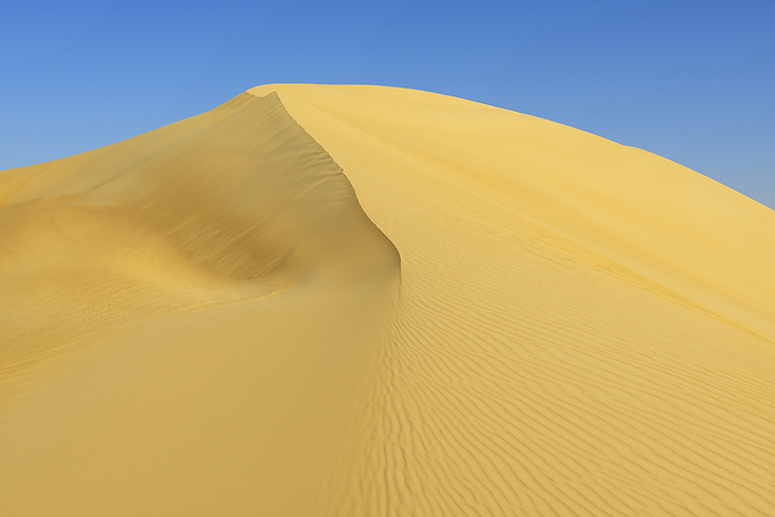 Top of Sand Dune aganist Blue Sky, Matruh, Great Sand Sea, Libyan Desert, Sahara Desert, Egypt, North Africa, Africa, by Raimund Linke / Design Pics