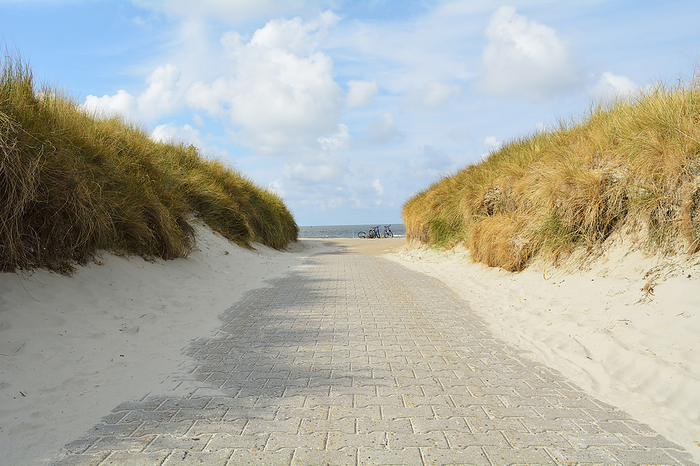 Path through the Dunes to the Beach, Summer, Norderney, East Frisia Island, North Sea, Lower Saxony, Germany, by Raimund Linke / Design Pics
