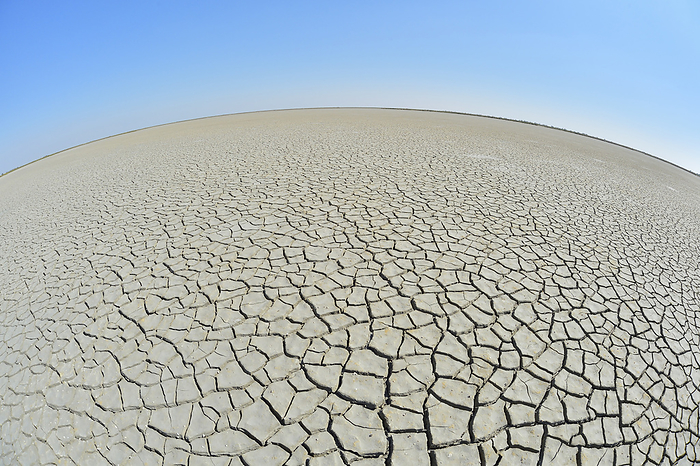 Wide Angle View of Cracked Dry Ground with Curved Horizon, Saintes-Maries-de-la-Mer, Camargue, Bouches-du-Rhone, Provence-Alpes-Cote d'Azur, France, by Raimund Linke / Design Pics