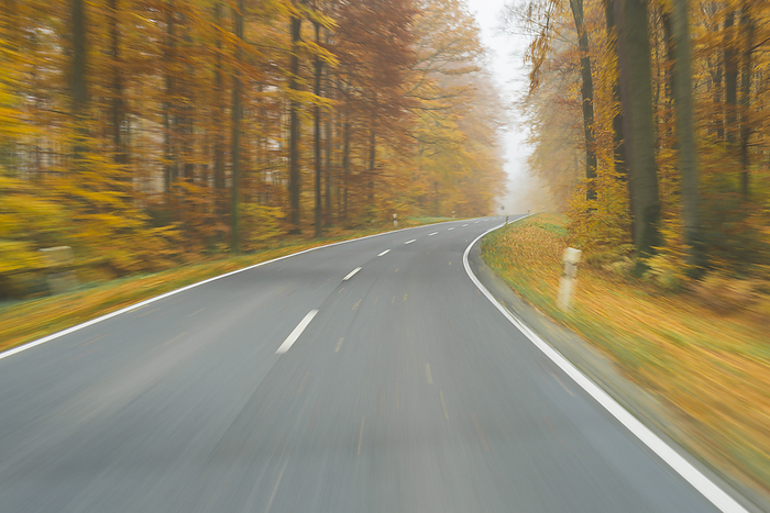 Road View from a Scenic Route in Autumn Forest, Spessart, Franconia, Bavaria, Germany, by Raimund Linke / Design Pics