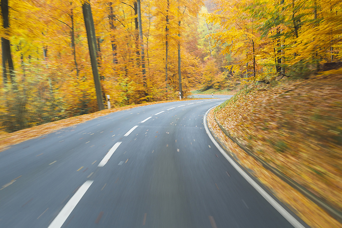 Road View from a Scenic Route in Autumn Forest, Spessart, Franconia, Bavaria, Germany, by Raimund Linke / Design Pics