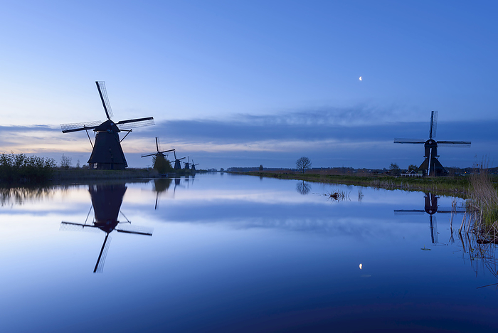 Windmills at Dawn with Moon, Kinderdijk, South Holland, Netherlands, by Raimund Linke / Design Pics