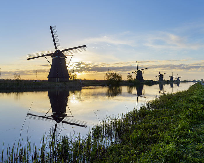 Windmills at Sunrise, Kinderdijk, South Holland, Netherlands, by Raimund Linke / Design Pics
