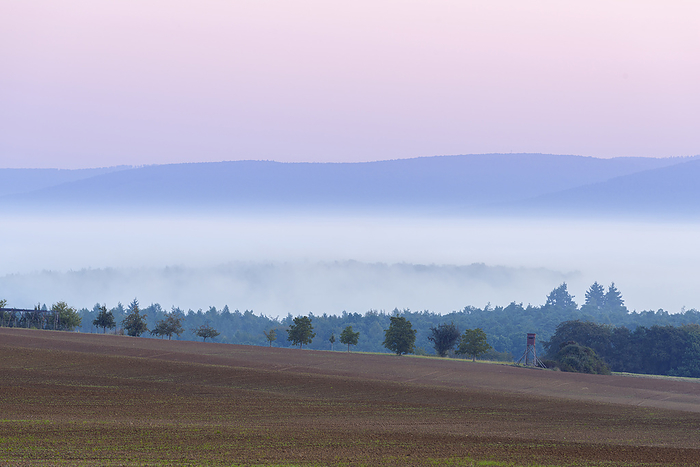 Countryside with morning mist at dawn over fields in Grossheubach in Bavaria, Germany, by Raimund Linke / Design Pics