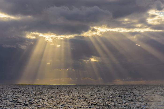 Crepuscular sunrays shining through the clouds over the North Sea, United Kingdom, by Raimund Linke / Design Pics