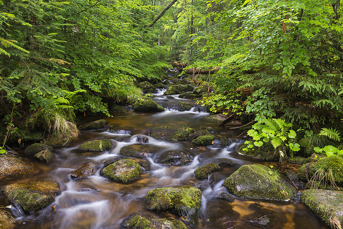 Bavarian Forest National Park, Germany Mountain stream after rain at Kleine Ohe at Waldhauser in the Bavarian Forest National Park in Bavaria, Germany, by Raimund Linke   Design Pics