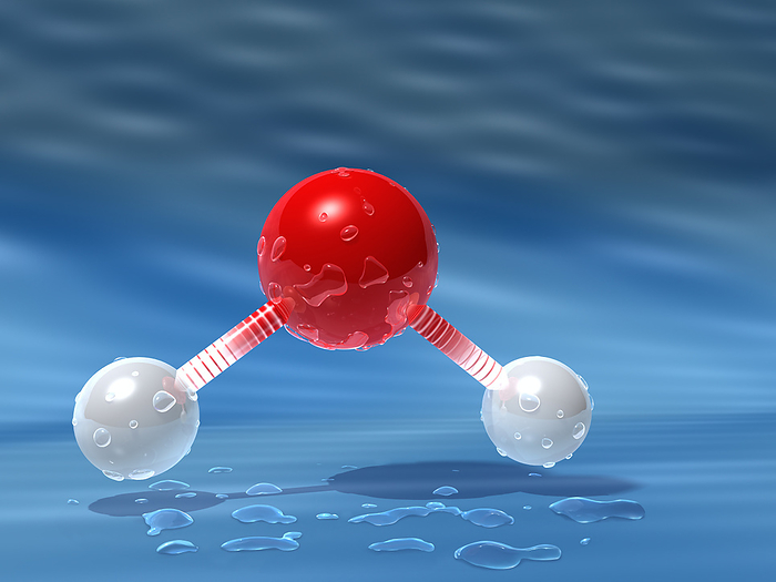 Water Molecule, by Rick Fischer / Design Pics