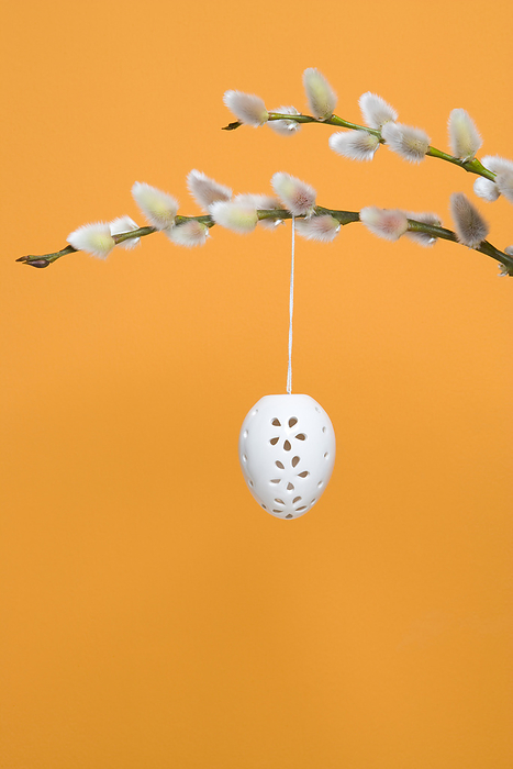 Easter Egg hanging from Pussy Willow Branch, by Ursula Klawitter / Design Pics