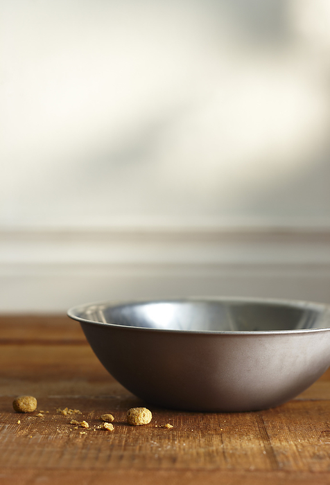 Empty Bowl of Dog Food, by Yvonne Duivenvoorden / Design Pics