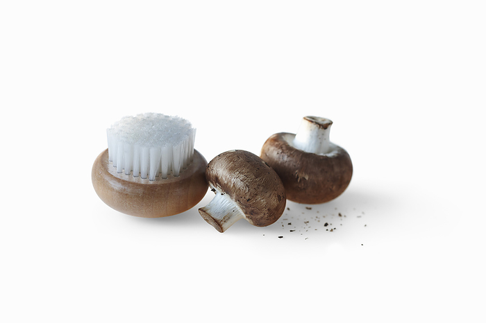 Button Mushrooms and Scrub Brush, by Yvonne Duivenvoorden / Design Pics