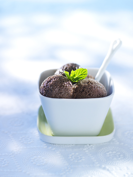 Chocolate Sorbet with Mint Garnish, Studio Shot, by Yvonne Duivenvoorden / Design Pics