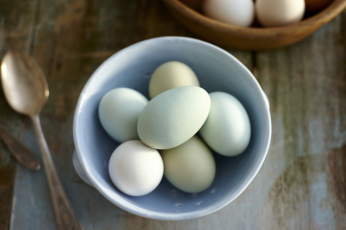 Overhead View of Blue, Green and White Farm Fresh Eggs in Blue Colander on Rustic Wooden Tabletop, by Yvonne Duivenvoorden / Design Pics