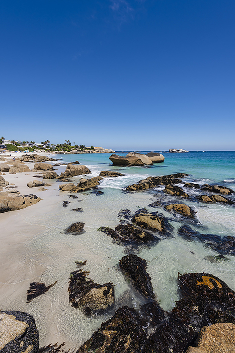 Cape Town, Republic of South Africa Rocky shore with large boulders and beachfront homes along the Atlantic Ocean at Clifton Beach  Cape Town, Western Cape, South Africa, by Alberto Biscaro   Design Pics