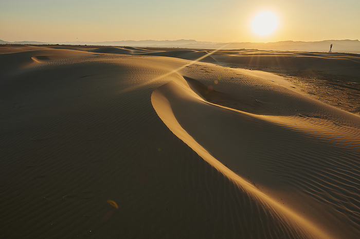 Spain Rippled sand dunes in the evening light at sunset, with a lighthouse in the distance, Ebro River Delta  Catalonia, Spain, by David   Micha Sheldon   Design Pics