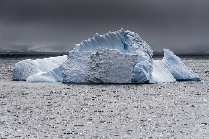 Antarctica Iceberg in the South Shetland Islands region of Antarctica off the Antarctic Peninsula  Antarctica, by Karen Kasmauski   Design Pics