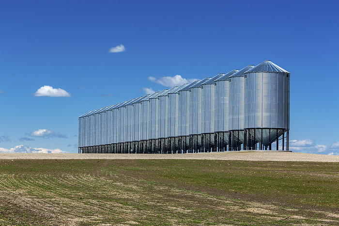 Calgary, Canada A row of large metal grain bins in a field with clouds and a blue sky  Southeast of Calgary, Alberta, Canada, by Michael Interisano   Design Pics