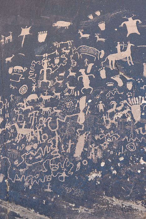 Canyonlands National Park, USA Some of the petroglyphs of the Newspaper Rock State Historic Monument, in the Canyonlands National Park. Unknown when or why the drawings were made  La Sal, Utah, United States of America, by Doug Ogden   Design Pics