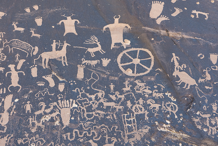 Canyonlands National Park, USA Some of the petroglyphs of the Newspaper Rock State Historic Monument, in the Canyonlands National Park. Unknown when or why the drawings were made  La Sal, Utah, United States of America, by Doug Ogden   Design Pics