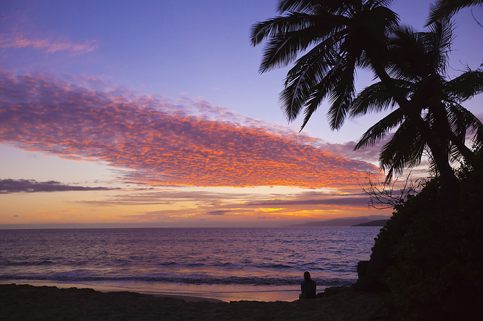 Maui, Hawaii Silhouette of a person sitting on the beach watching the pink and purple sunset over the Pacific Ocean  Kihei, Maui, Hawaii, United States of America, by Ron Dahlquist   Design Pics