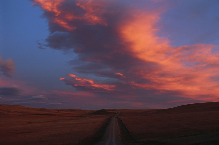 America Dramatic glowing pink clouds over vast landscape at sunset  Choteau, Montana, United States of America, by Joel Sartore Photography   Design Pics
