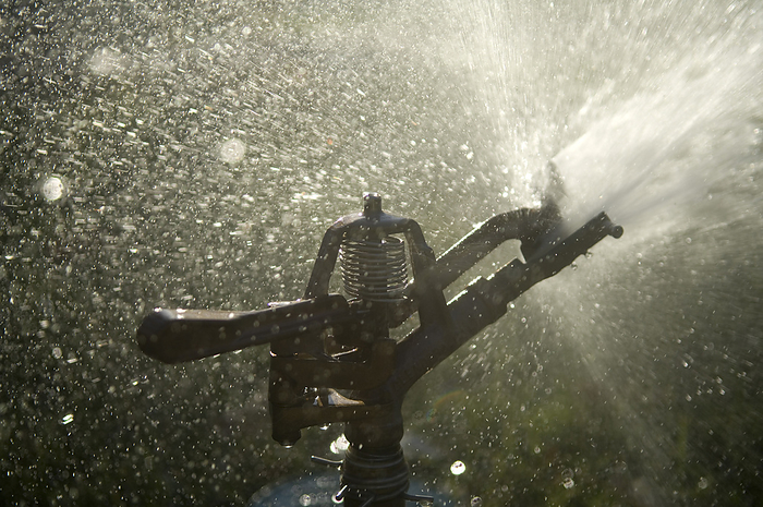 Close-up of a sprinkler head spraying water, with water droplets illuminated by sunlight; Lincoln, Nebraska, United States of America, by Joel Sartore Photography / Design Pics