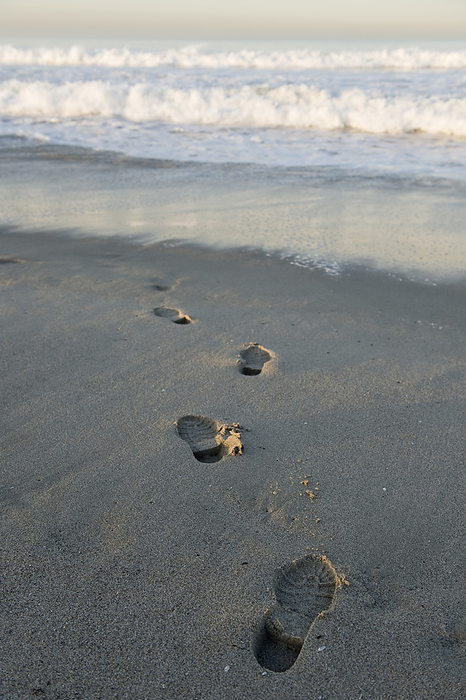 Footprints in the sand lead to the water's edge and surf on a beach in Venice Beach, California, USA; Venice, California, United States of America, by Joel Sartore Photography / Design Pics